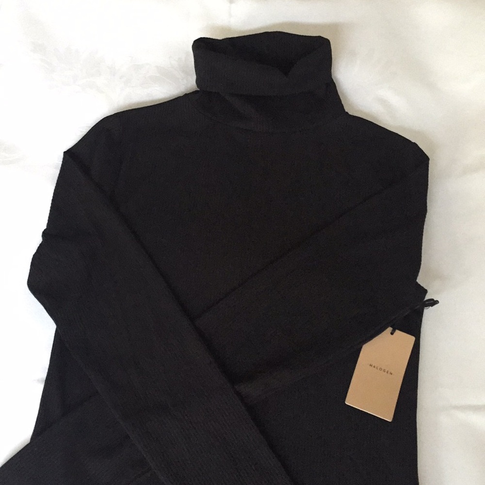 Halogen Fitted Turtleneck